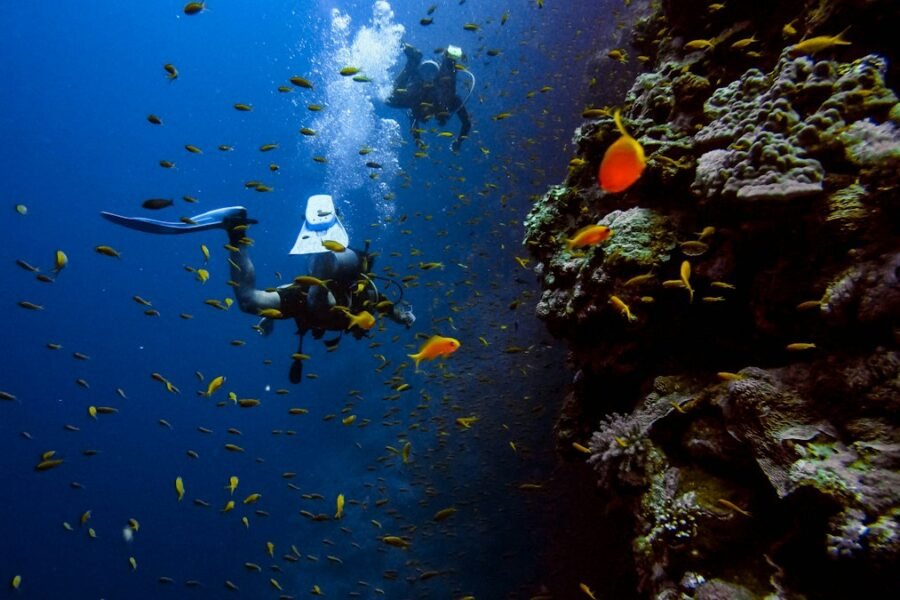 Buceador junto a un banco de peces. Foto ilustrativa; no corresponde al congreso.