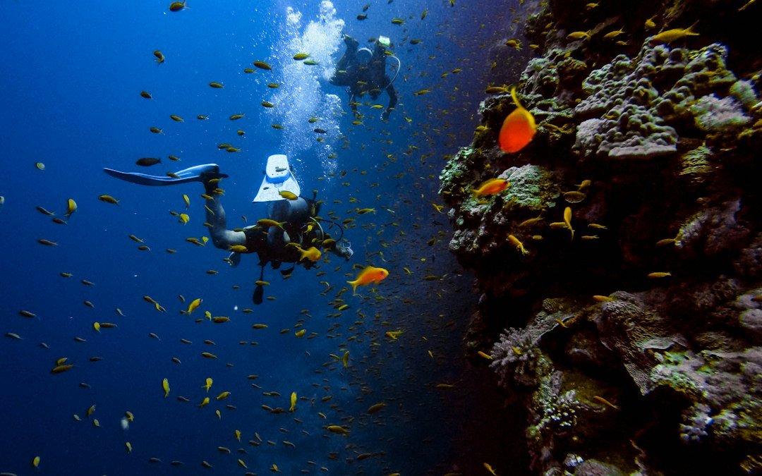 Buceador junto a un banco de peces. Foto ilustrativa; no corresponde al congreso.