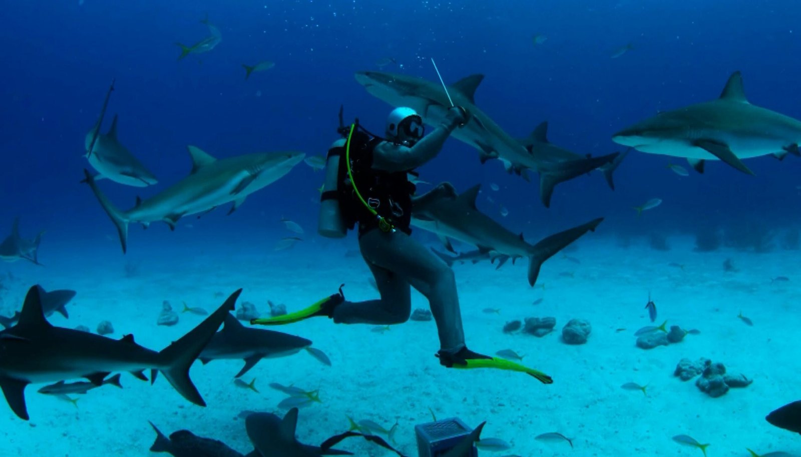 Buzo rodeado de tiburones bajo el agua, fotografía ilustrativa de Oleksandr Sushko